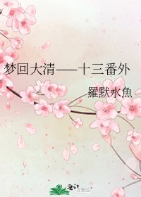 夢迴大清——十三番外